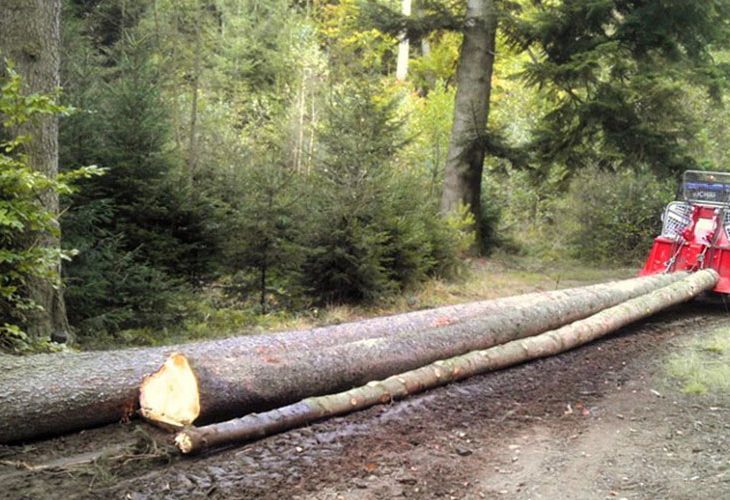 Single Page Thumbnail