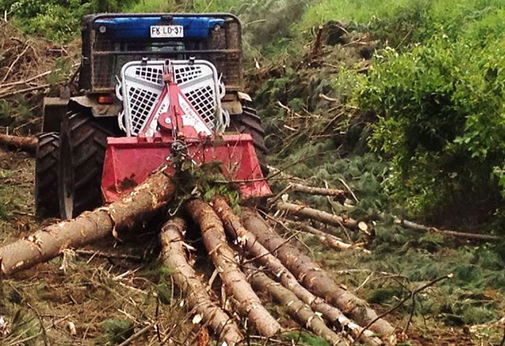 Single Page Thumbnail